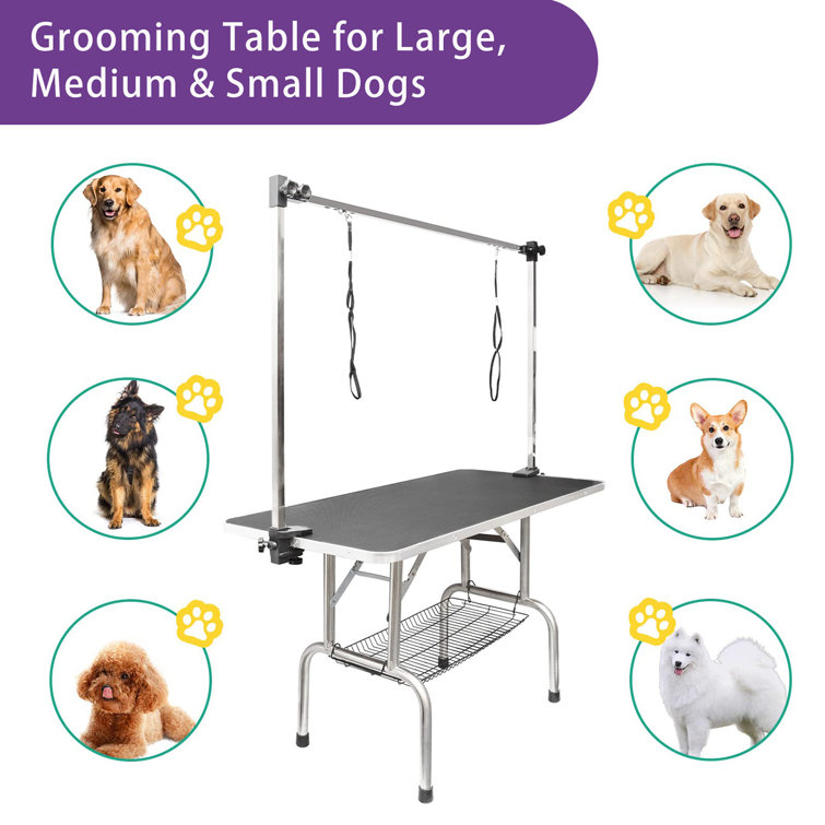 Best dog hotsell grooming table